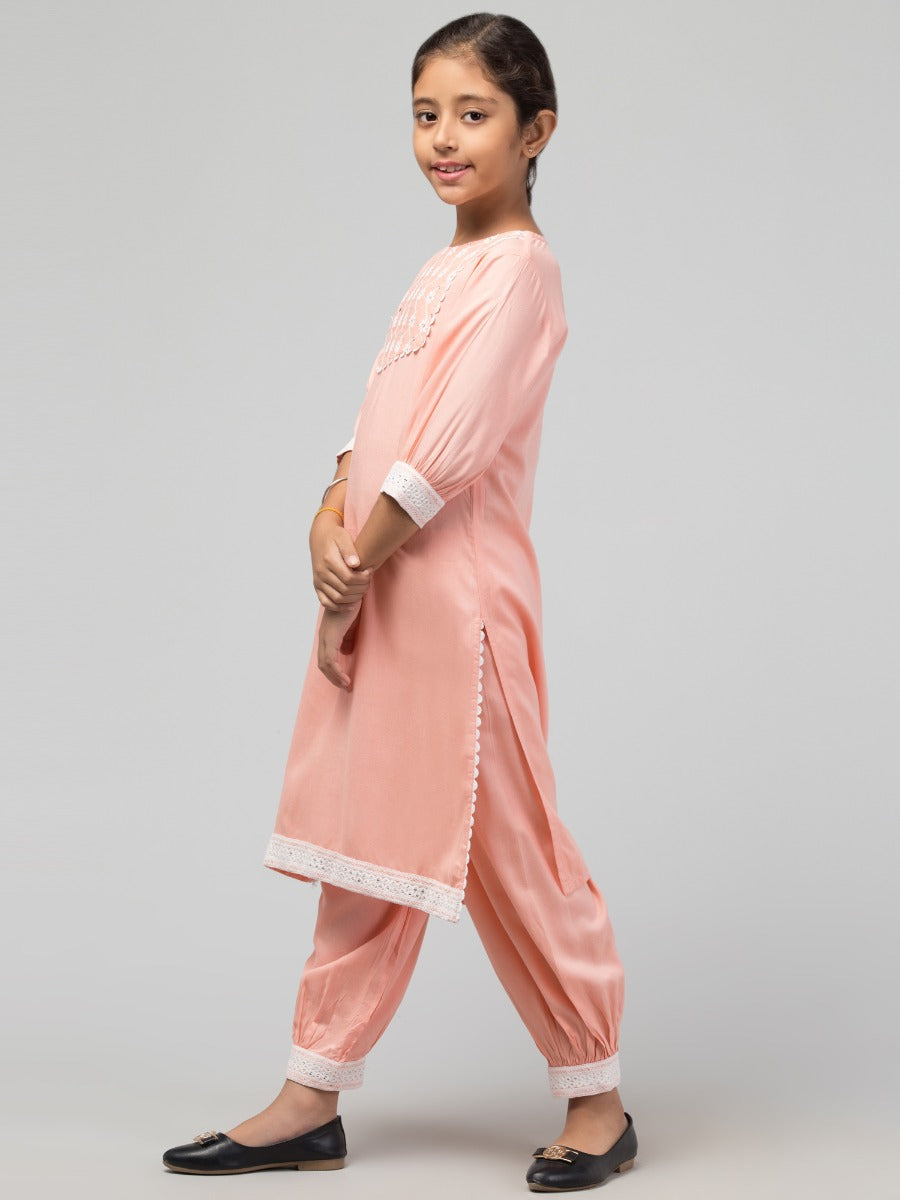 Two Pieces Set- Chikan Embroidered