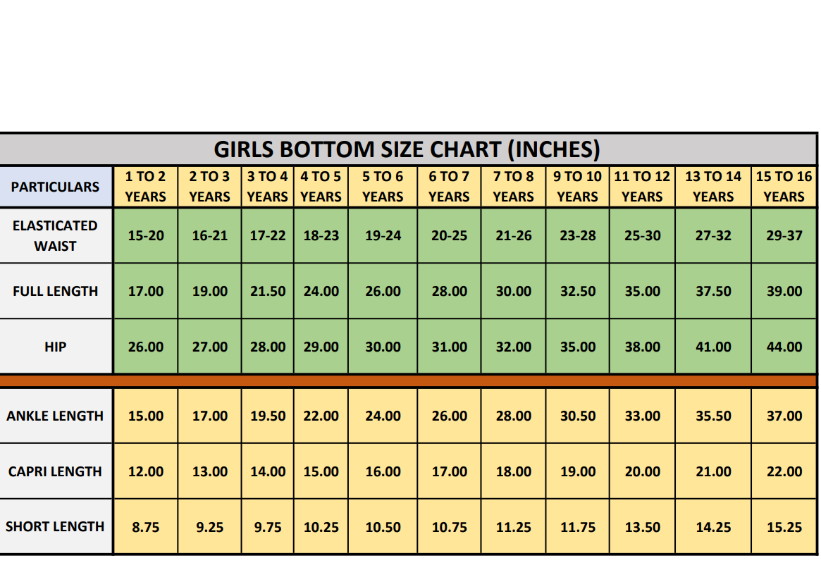 Chikankari Long Top With Skirt and Dupatta- 3 Pcs Set